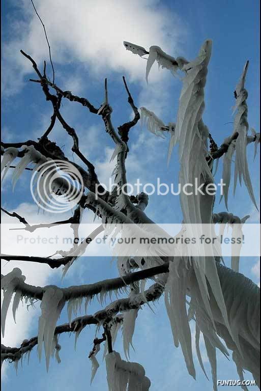 Frozen Switzerland in Winters