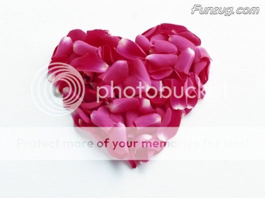 Click to Enlarge -  Beautiful Floral Valentine Hearts