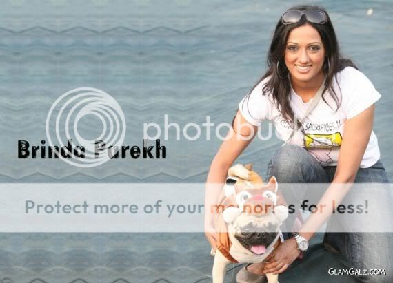 Click to Enlarge - Bollywood Beauty Brinda Parekh Wallpapers
