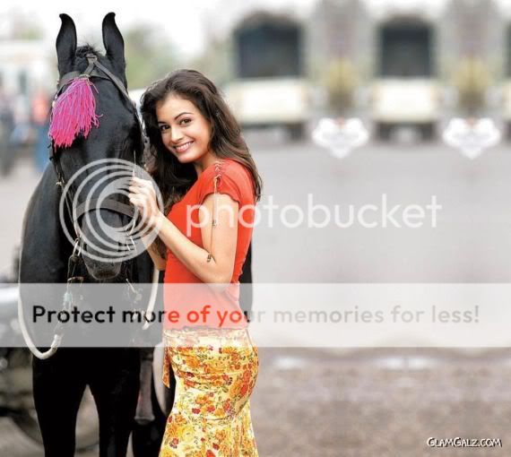 Click to Enlarge -Diya Mirza Walls