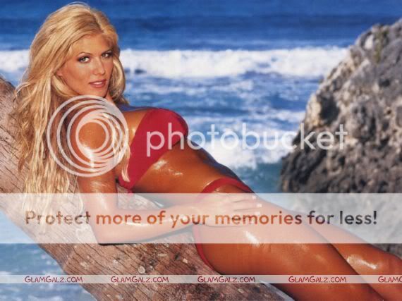 WWE Diva Torrie Wilson