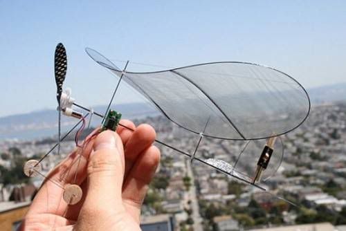 Carbon Butterfly Indoor R/C Plane