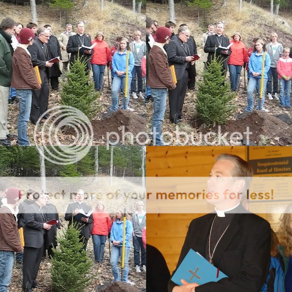 EarthKeeper Tree Project