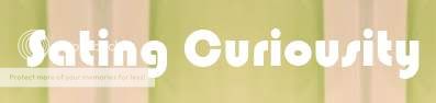 Sating Curiousity banner