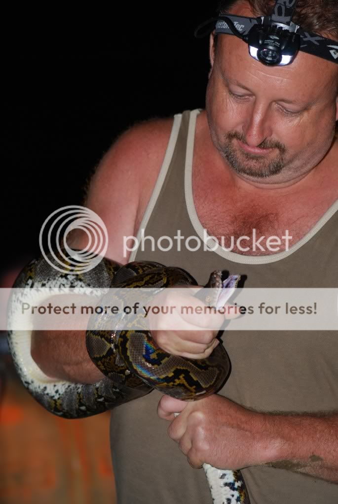 sabah-borneo-photos-field-herp-forum